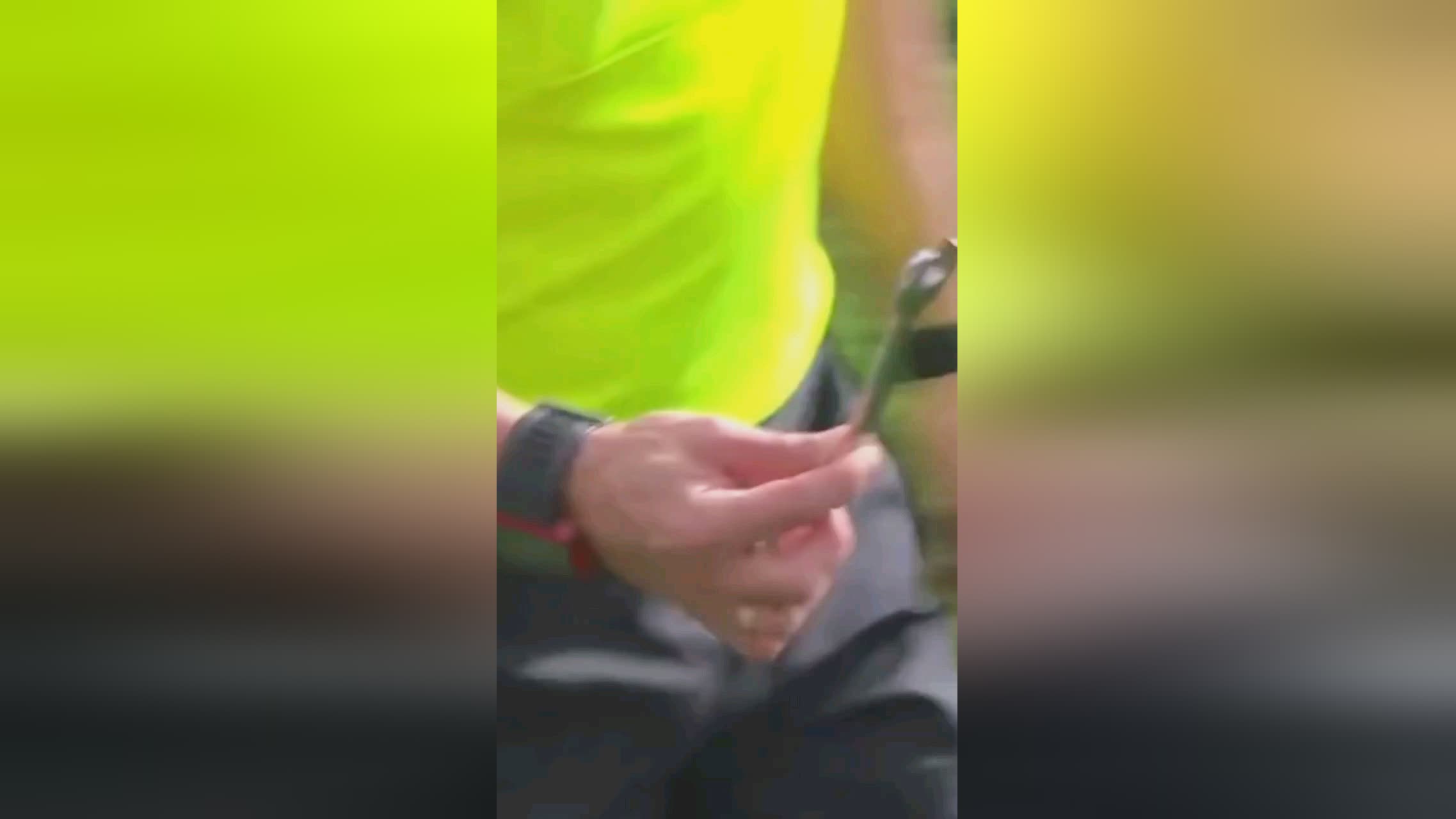 疑对他